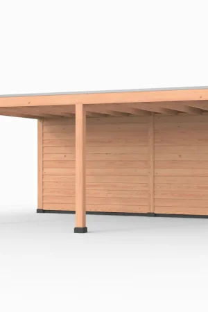 Lage Kosten Douglas overkapping, 600 x 400, met achterwand, Westwood Elegant